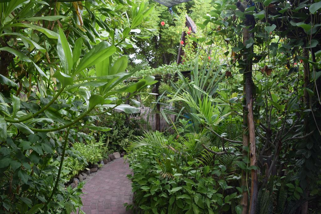 Ana Warung & Bungalows Gili Meno Exteriér fotografie